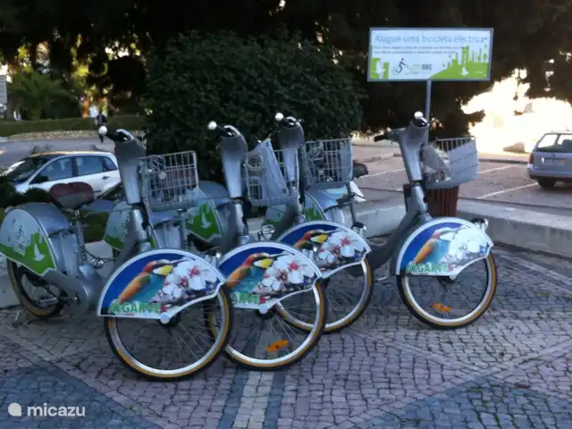 Location de Vacances Portugal, Algarve, Albufeira, studio - Studio avec vue mer Louez un vélo pour découvrir Albufeira à vélo