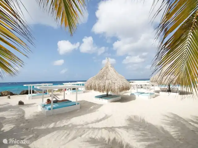 Villa familiar de lujo Grey Noble con vistas al mar en Curazao, Banda Arriba (este), Jan Thiel - villa Playa Jan Thiel