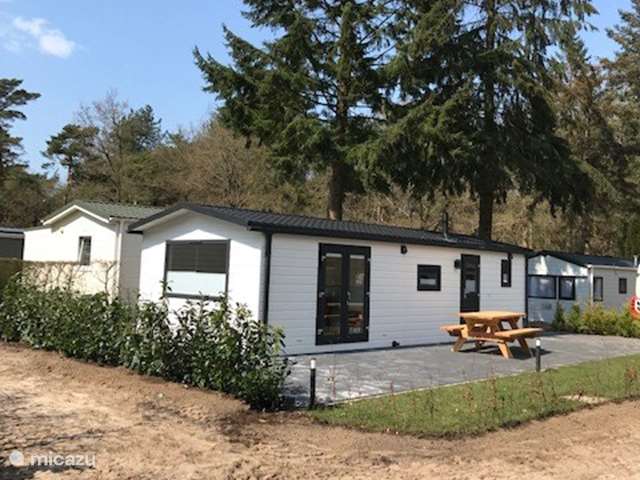 Holiday home in Netherlands, Drenthe, Wittelte - chalet Forest view 2