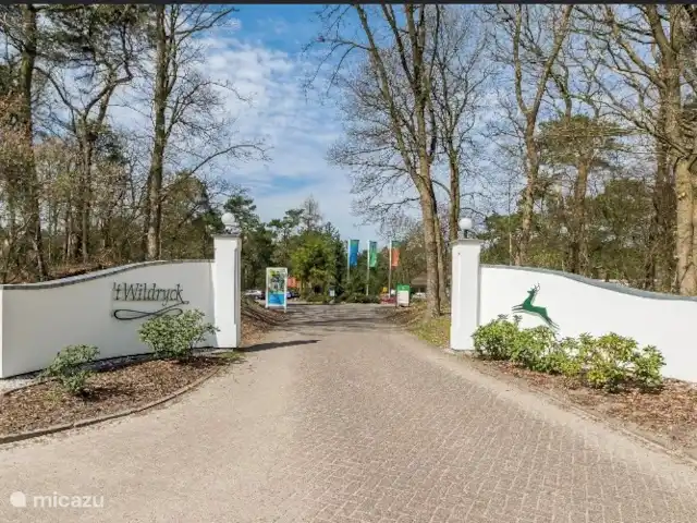 Vue forêt 2 | Pays-Bas, Drenthe, Diever - chalet Entrée du parc