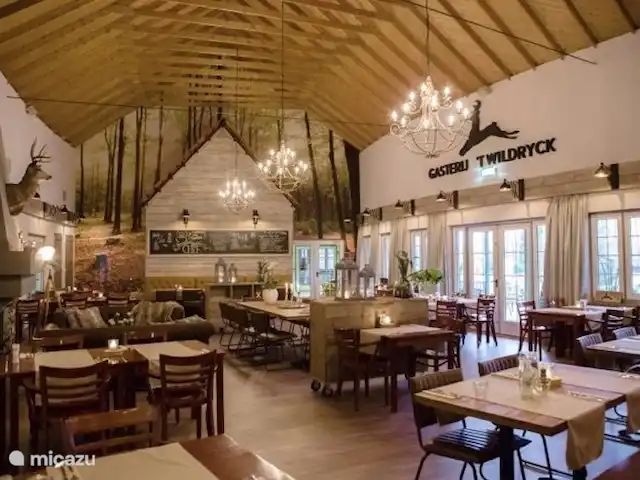 Vue forêt 2 | Pays-Bas, Drenthe, Diever - chalet le restaurant où vous pourrez déguster un délicieux repas ou une tasse de café/thé