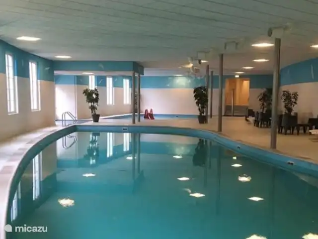 Vue forêt 2 | Pays-Bas, Drenthe, Diever - chalet La piscine Wildryk celle-ci est également de nouveau ouverte