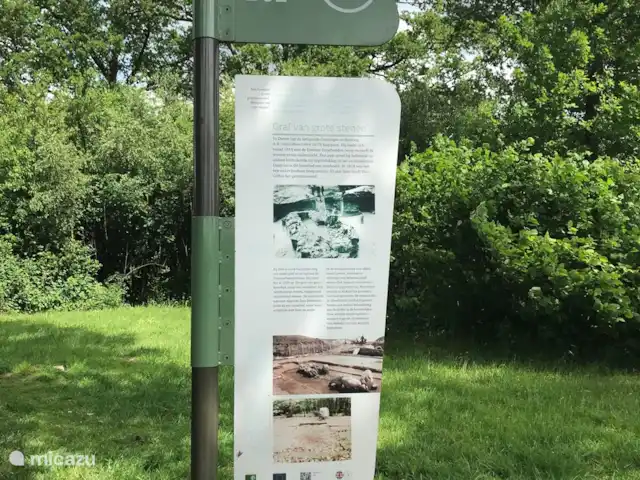 Vue forêt 2 | Pays-Bas, Drenthe, Diever - chalet découvertes historiques
