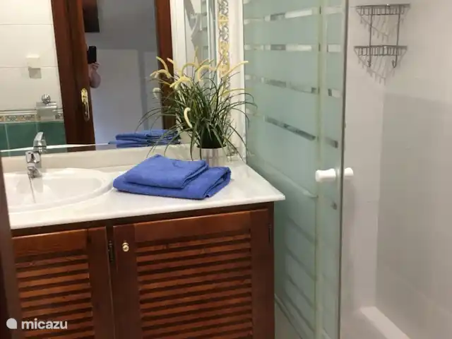 Balcones del Chaparral, Mijas Costa | Espagne, Costa del Sol, La Cala de Mijas - appartement la salle de bain avec douche à l'italienne