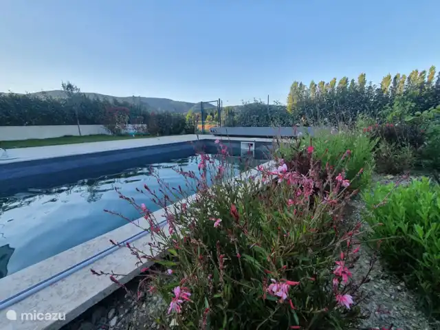 Notre villa en Provence | France, Vaucluse, Malaucène - maison de vacances