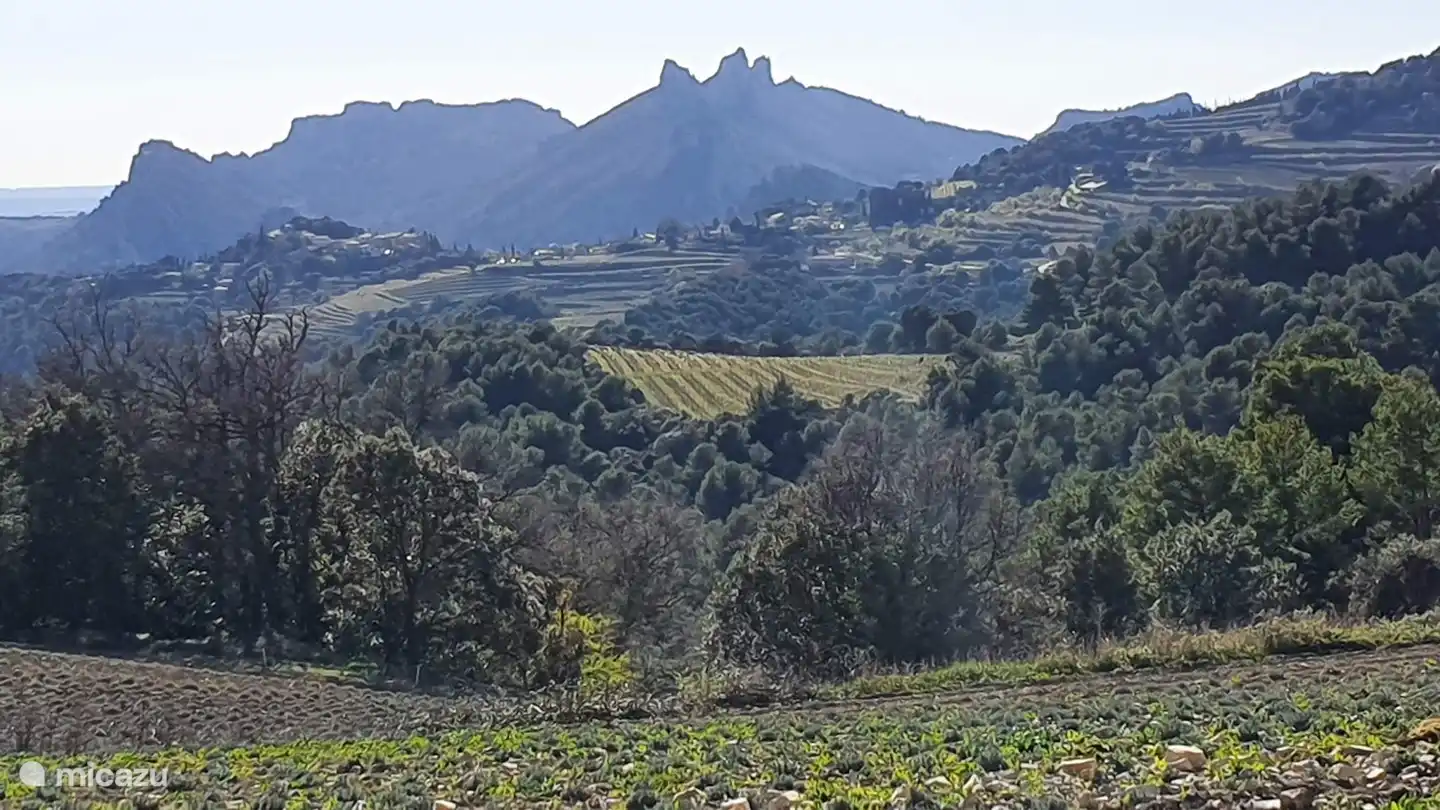 Paysage juste à l'extérieur de Malaucène.