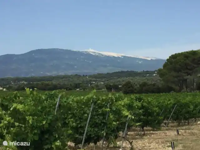 Notre villa en Provence | France, Vaucluse, Malaucène - maison de vacances