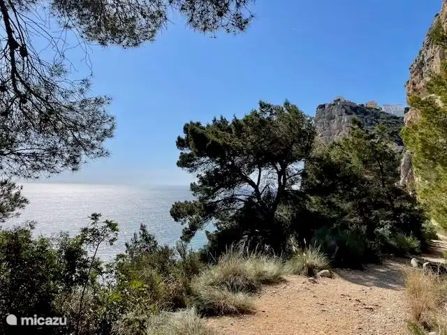 Schöne Wanderwege in der Umgebung