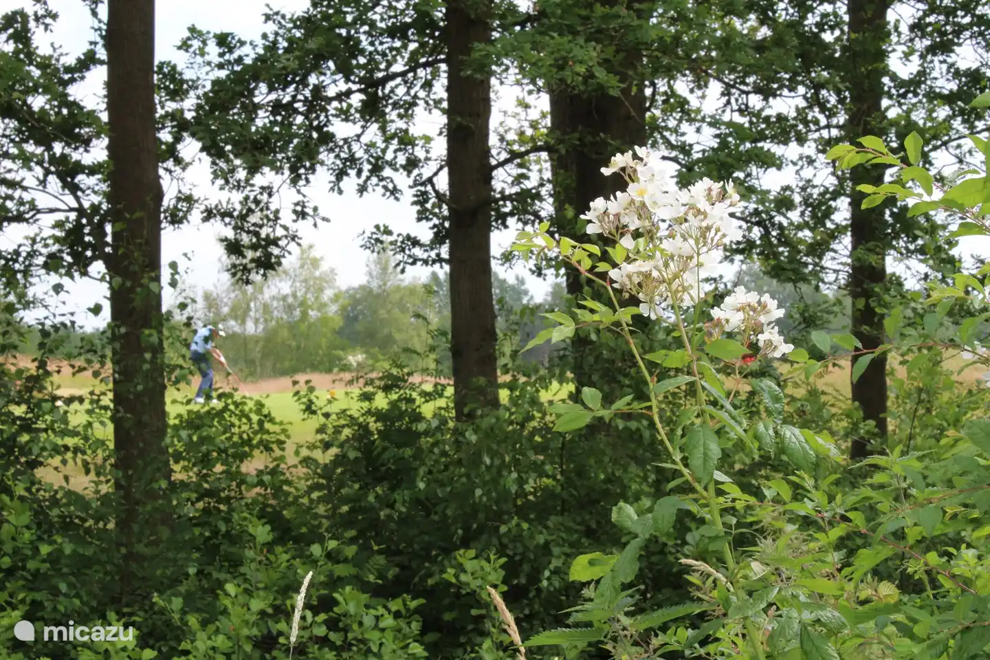 Golfplatz Oudemirdum