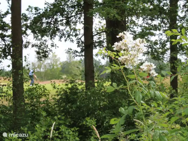 vakantiehuis huren in Nederland, Friesland, Sint Nicolaasga – De Zonnewijzer Golfbaan Oudemirdum