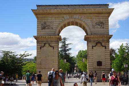 Dijon, eine Stadt mit Museen und schönen Einkaufsstraßen.
