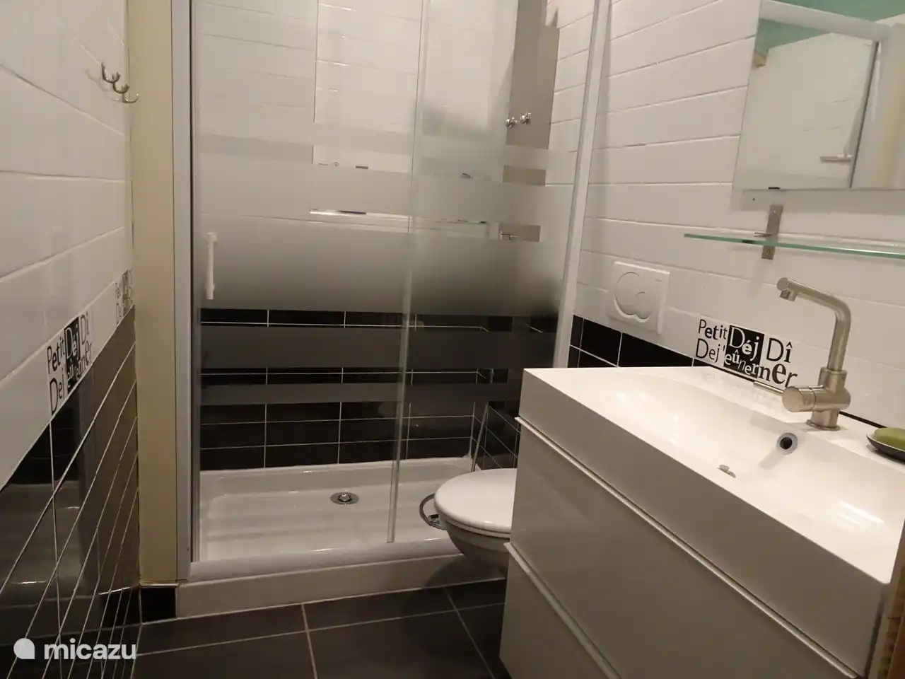 Das Badezimmer mit Dusche und WC im 1. Stock