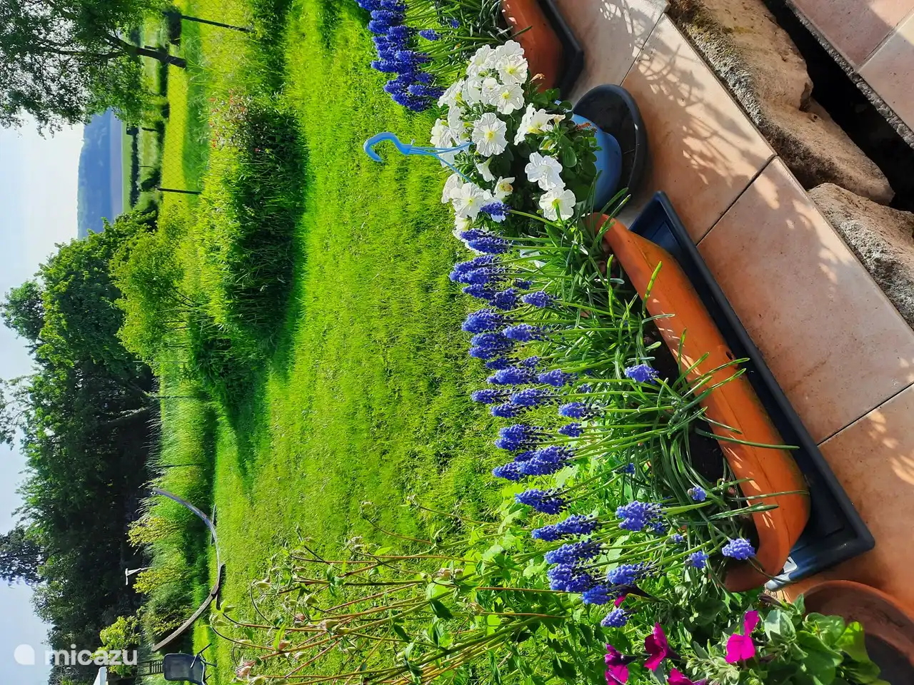 Blick von der Terrasse