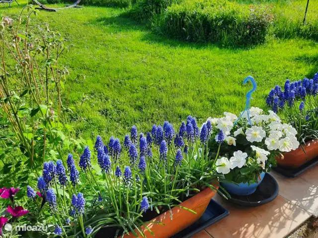 Le Tilleul | France, Côte-d'Or, Bissey-la-Côte - maison de vacances Vue depuis la terrasse