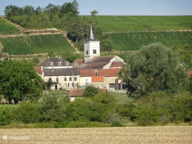 Le Tilleul | France, Côte-d'Or, Bissey-la-Côte - maison de vacances Les vignes bordent Bissey la Côte