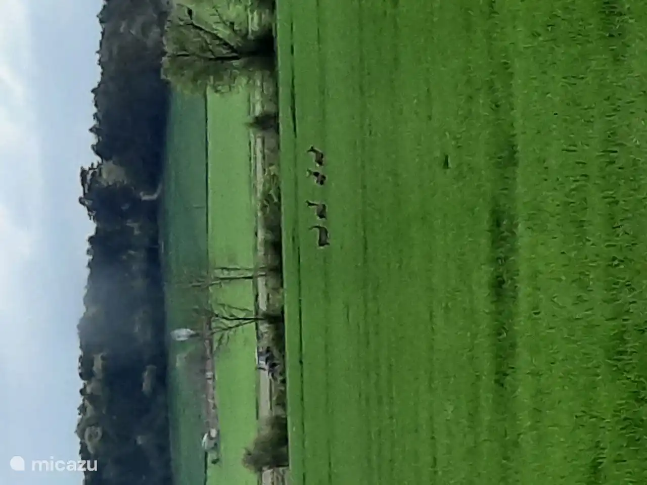 Beobachten Sie die Tierwelt bei Einbruch der Dunkelheit