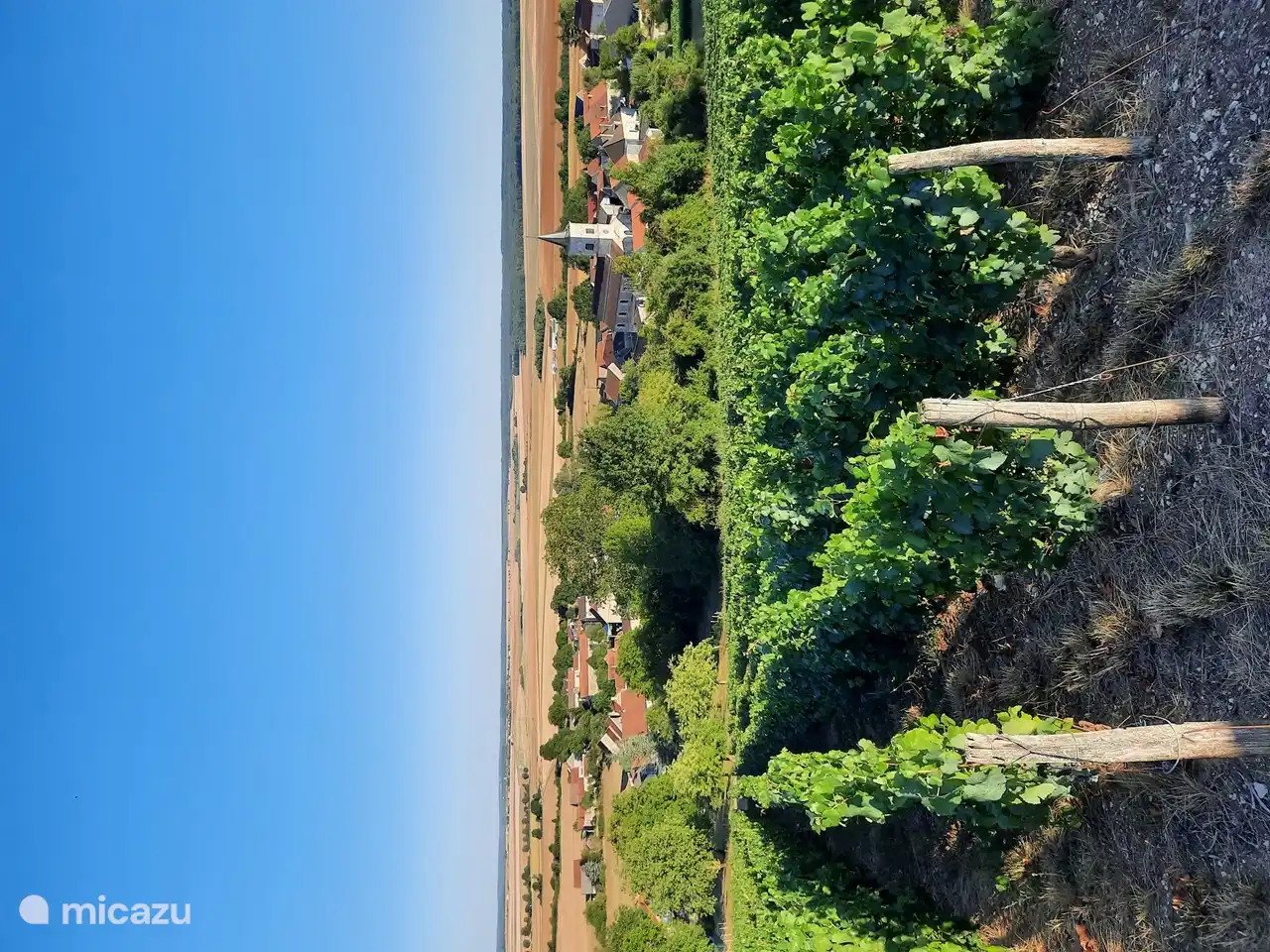 Blick von den Weinbergen von Bissey