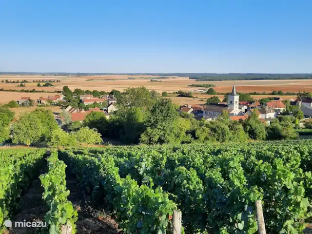 Le Tilleul | France, Côte-d'Or, Bissey-la-Côte - maison de vacances Vue depuis les vignes de Bissey