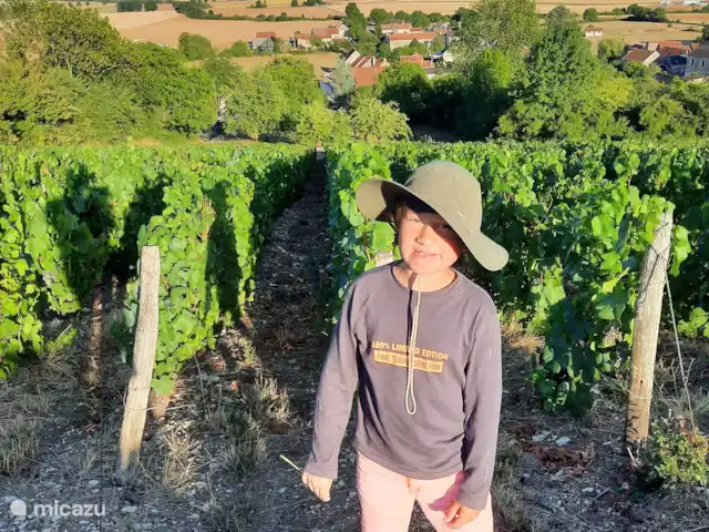 Le Tilleul | France, Côte-d'Or, Bissey-la-Côte - maison de vacances Chablis est l'un des vins les plus appréciés. La route de Bissey à Chablis est magnifique et chaque dimanche matin il y a un marché où vous pourrez acheter des produits locaux et déguster le Chablis.