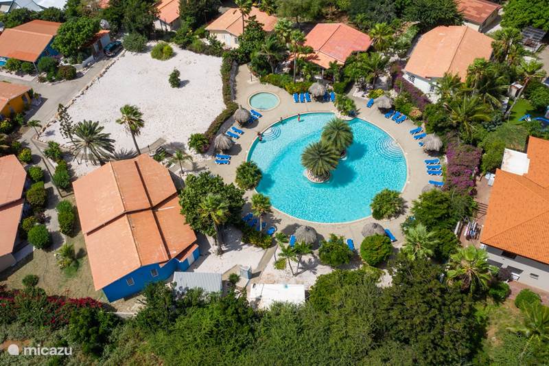 Vakantiehuis Curaçao, Curacao-Midden, Willemstad Studio Studio KOLIBRI aan het zwembad