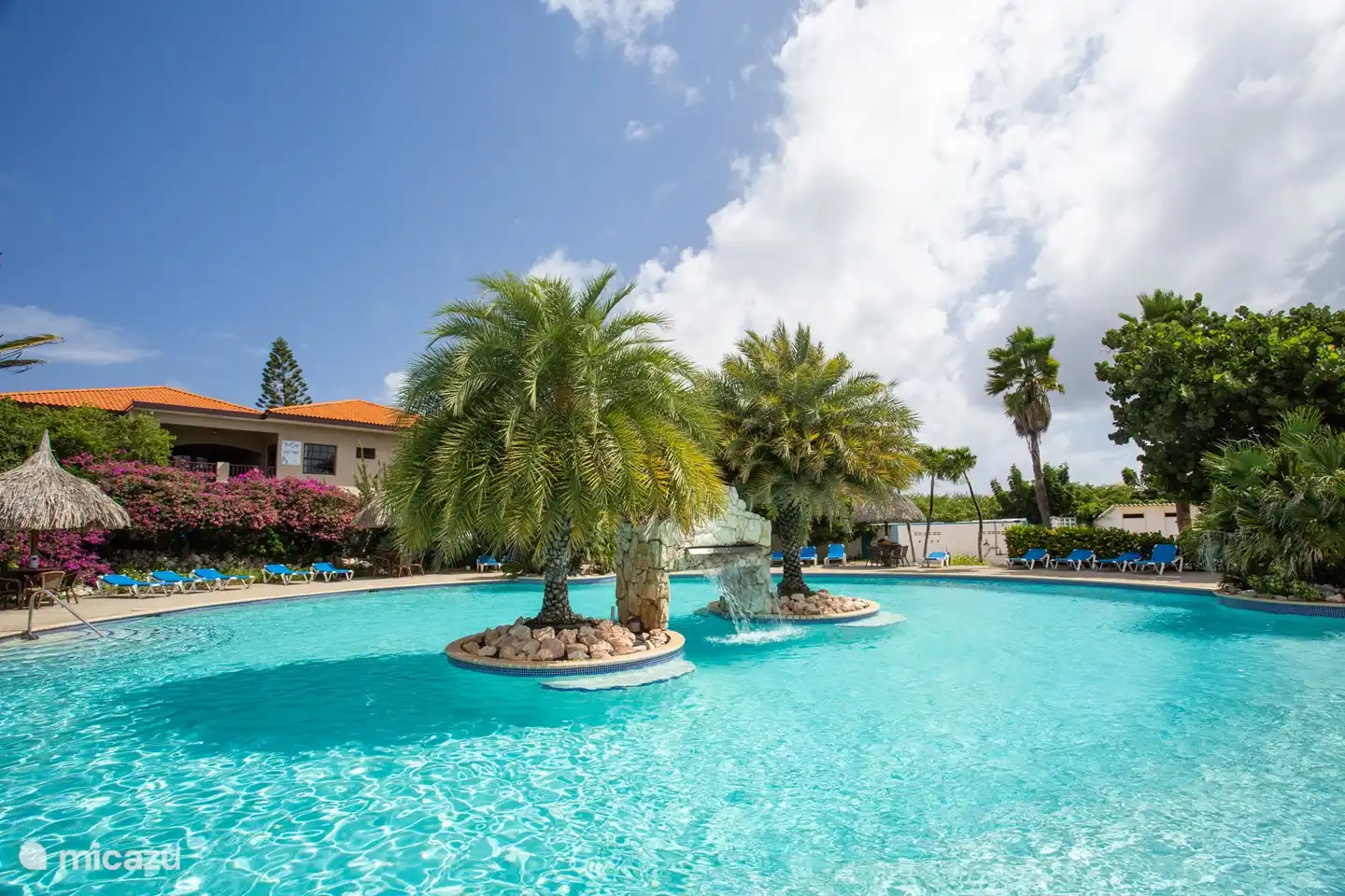 the house is at the back left