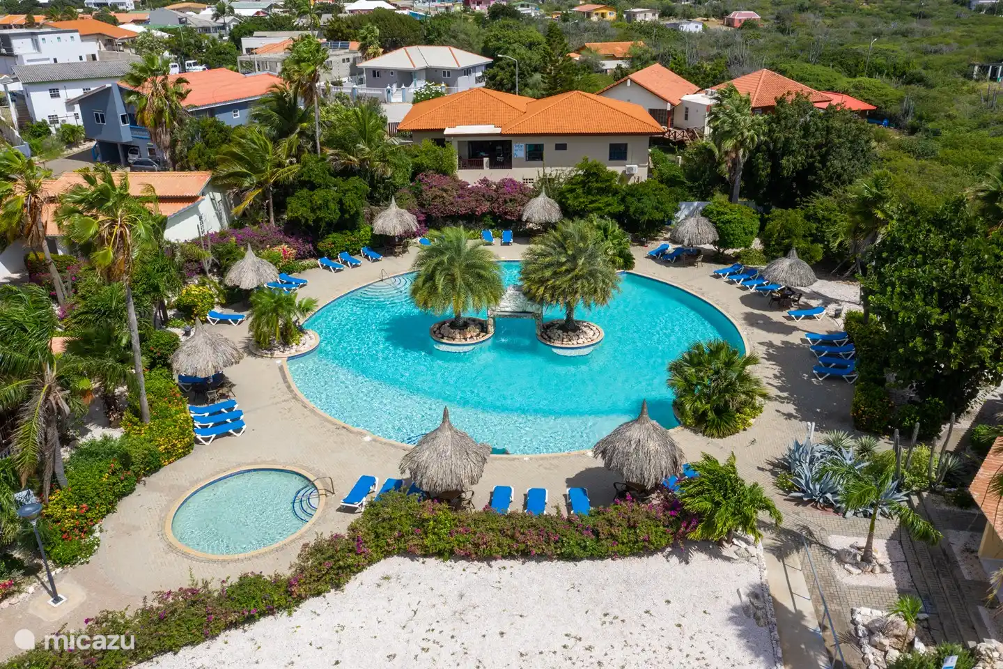 aerial view of the pool
