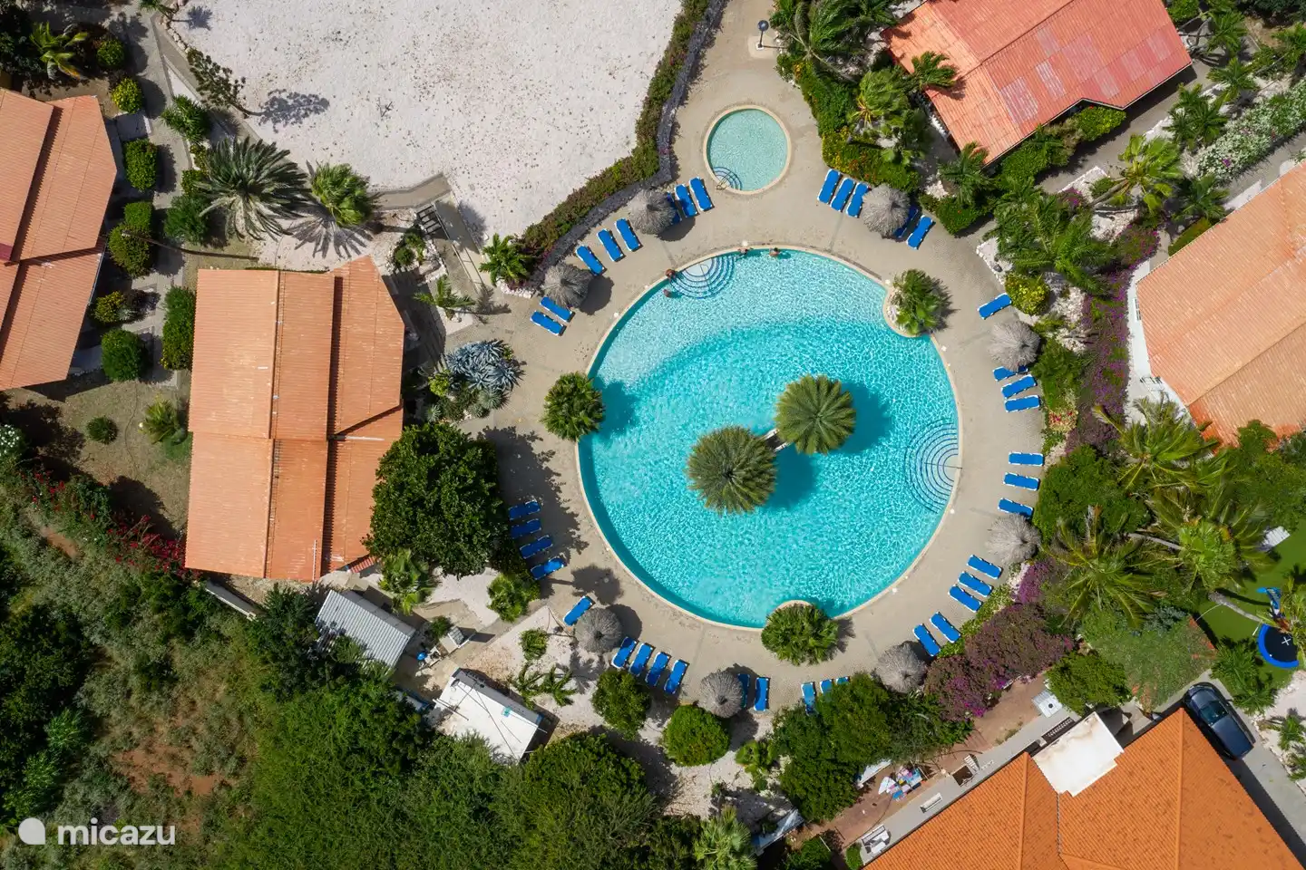 top view house and pool