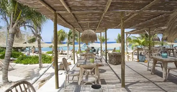 Koko's, a nice place in Jan Thiel. You can reach this in less than fifteen minutes