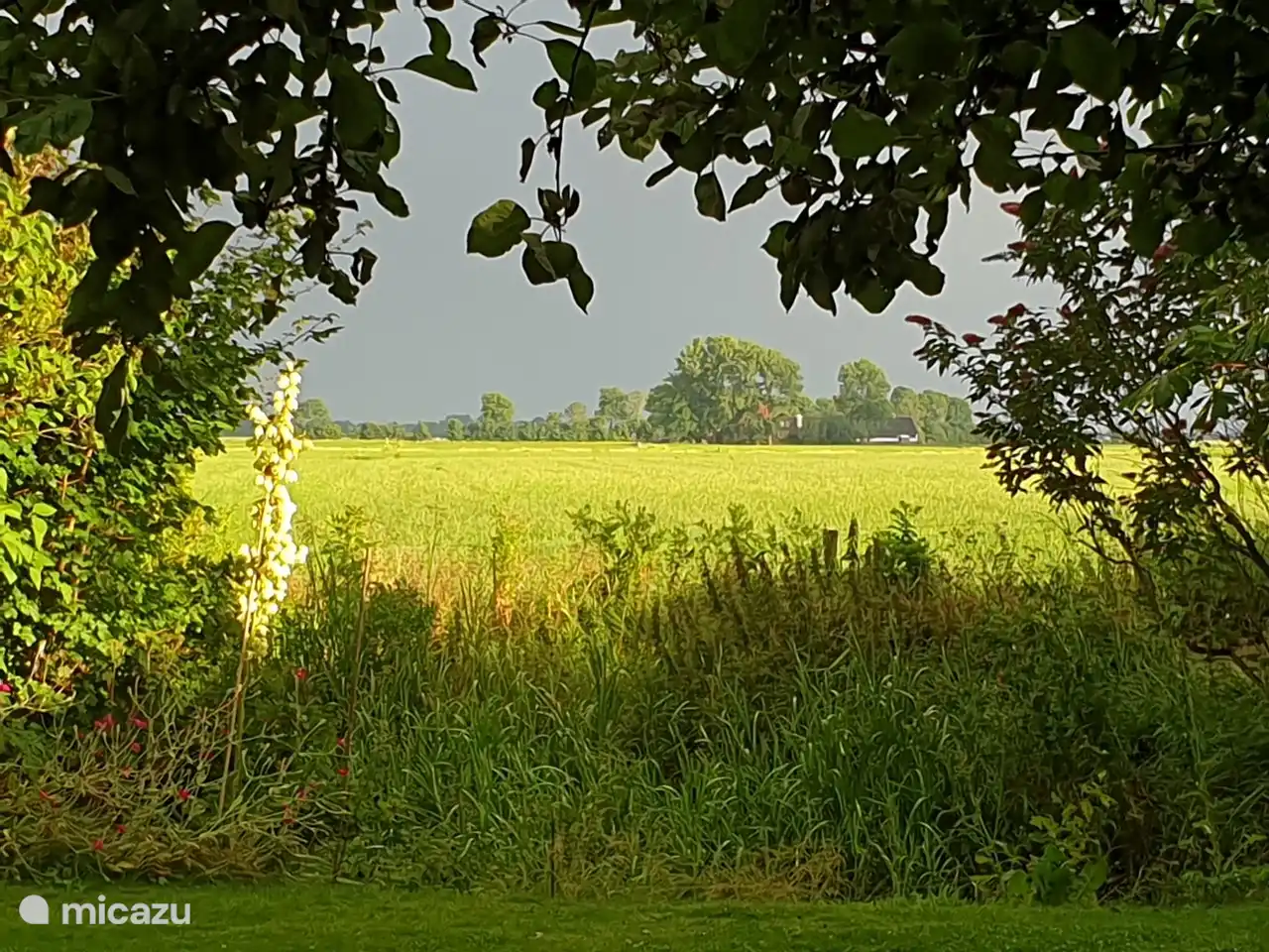 Reihenhaus Wierums Huske am Wattenmeer in Wierum, Friesland