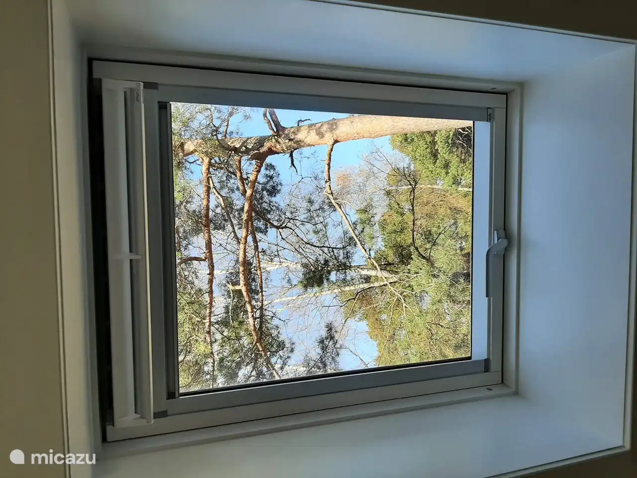 Lucernario primer piso