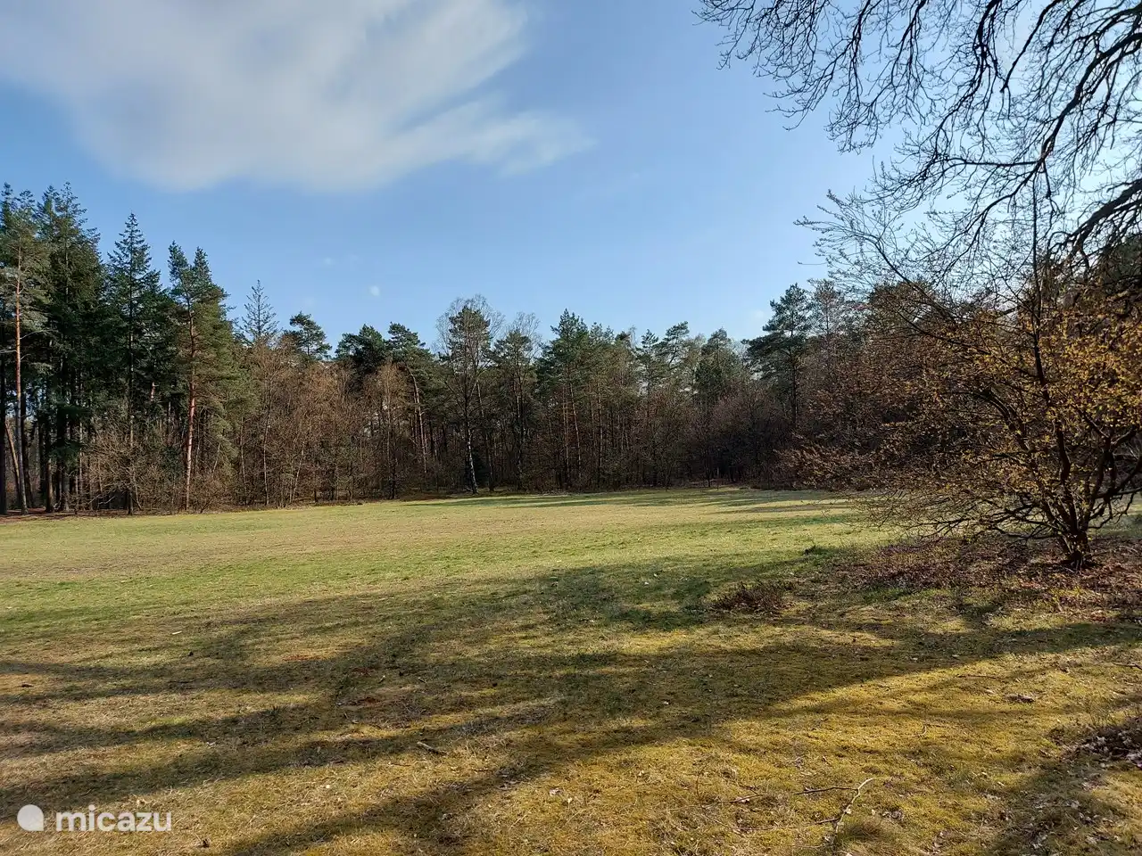 Por el bosque, por el gran césped hasta la Cascada Loenense