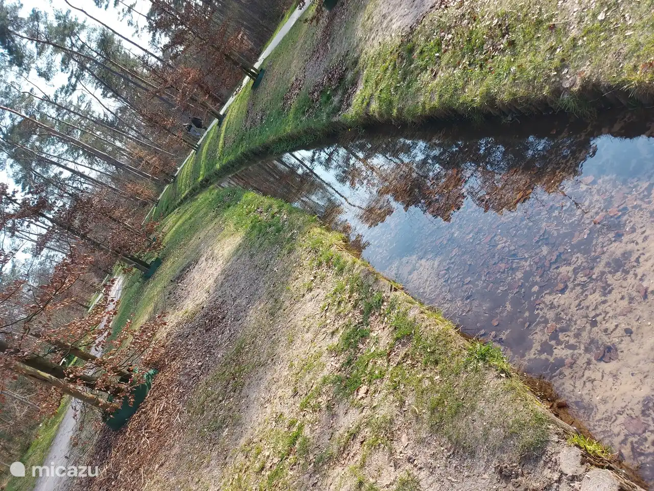 Llegada oficial lejos de la cascada.