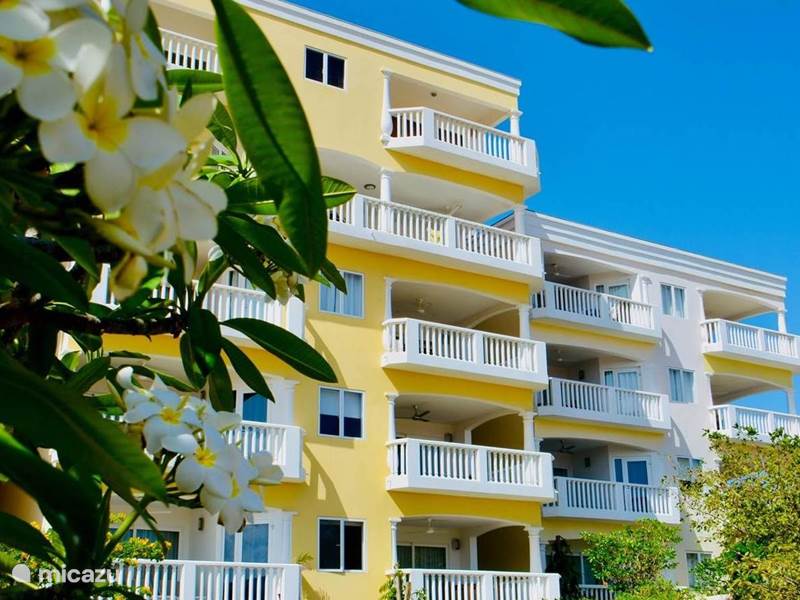 Vakantiehuis Curaçao, Curacao-Midden, Willemstad Appartement Blue Bay - TripleTree 36 - Oceanview