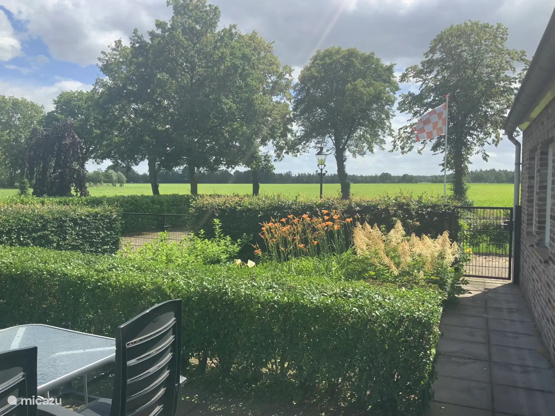 La vue depuis la terrasse