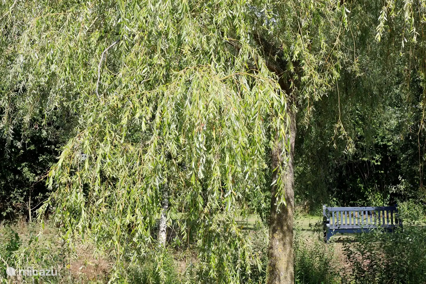 Genießen Sie die Bank am Teich