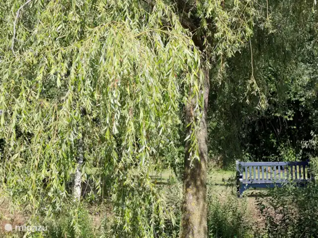 De Reijt Gastenverblijf / Vakantiew. huren in Nederland, Noord-Brabant, Hilvarenbeek - vakantiehuis Genieten op het bankje bij de vijver