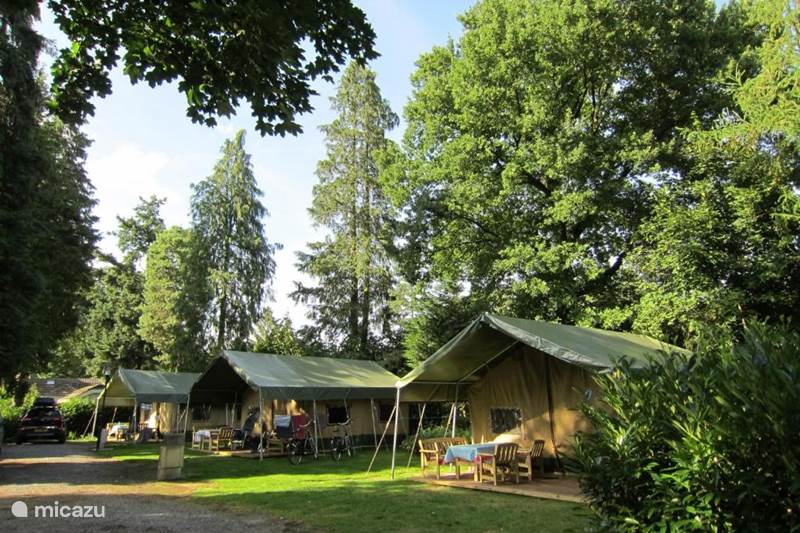 Vakantiehuis Nederland, Gelderland, Voorthuizen Glamping / Safaritent / Yurt Safaritent Lodge op De IJsvogel 1