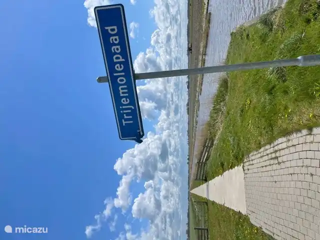 Radfahren durch die Wiesen am Wasser entlang, in der Nähe des Ferienparks