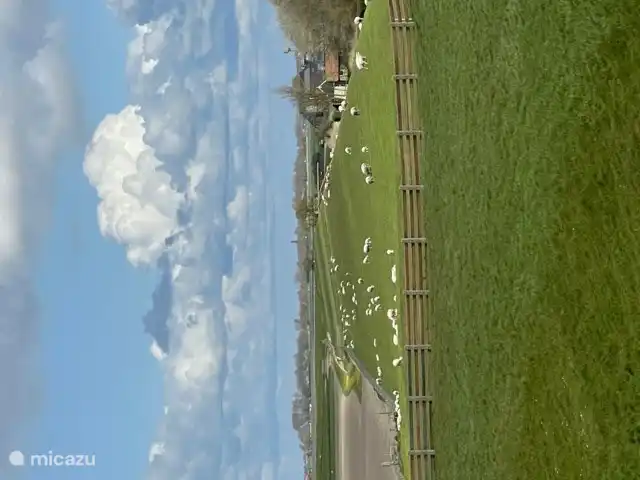 Der Waddendijk hinter Tzummarum