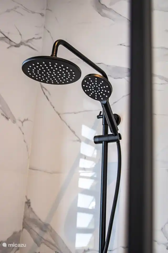 Douche pluie et douchette