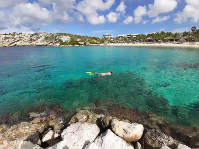 BlueBay Garden à la plage et à la piscine | Curaçao, Curaçao-Centre, Blue Bay - maison de vacances Plongée en apnée à Blue Bay.