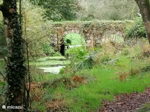 Maison de vacances en pleine nature | France, Bretagne, Plouguernével - maison de vacances réserve naturelle à environ 1 km de la maison de vacances