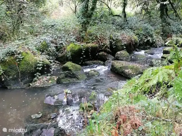 Maison de vacances en pleine nature | France, Bretagne, Plouguernével - maison de vacances réserve naturelle à environ 1 km de la maison de vacances