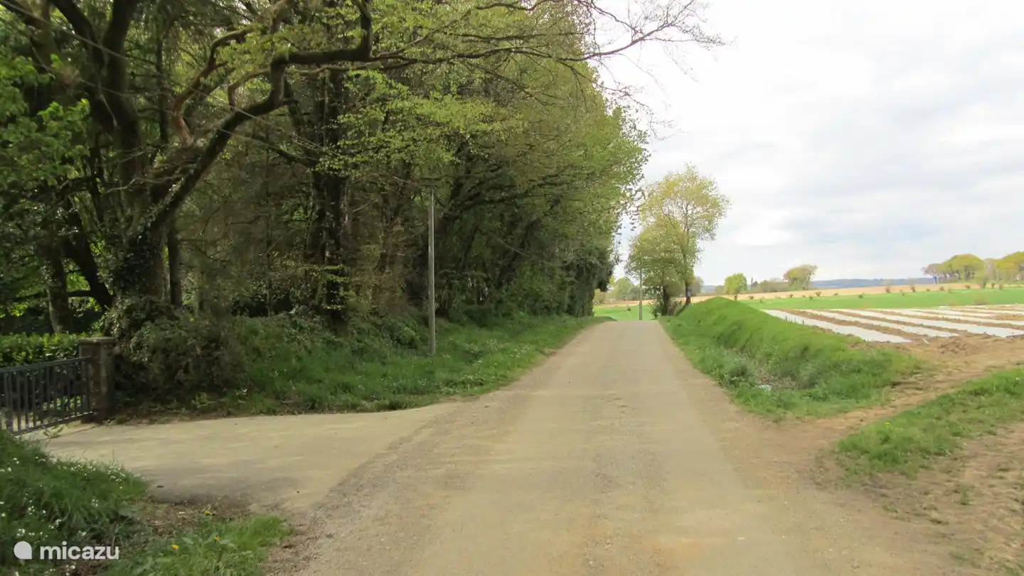 Landstraße zum Ferienhaus