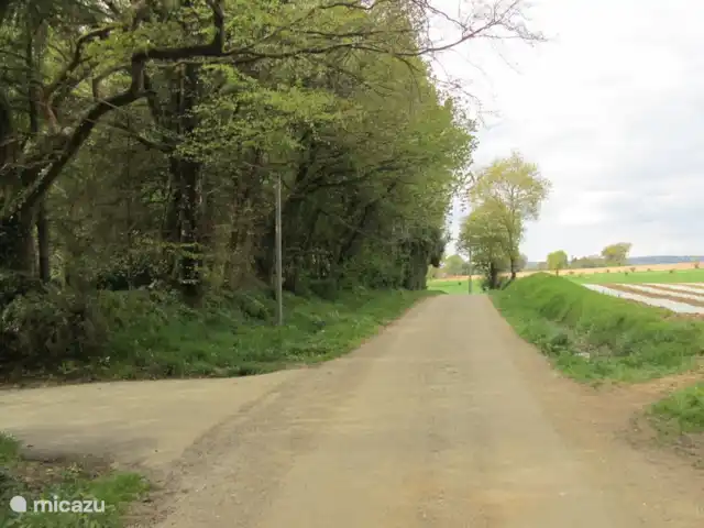 Maison de vacances en pleine nature | France, Bretagne, Plouguernével - maison de vacances route de campagne jusqu'à la maison de vacances