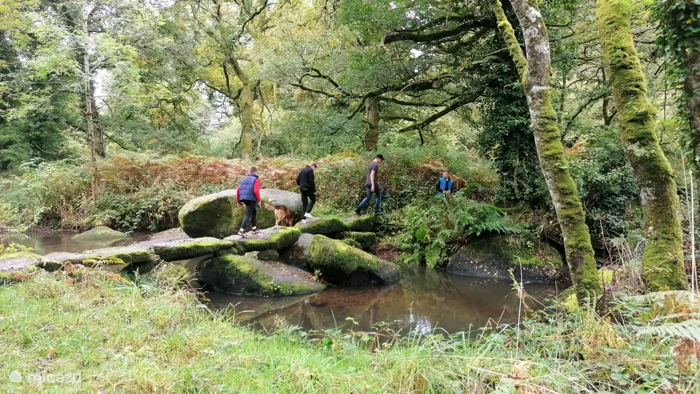Naturschutzgebiet ca. 1 km vom Ferienhaus entfernt