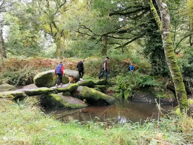 Maison de vacances en pleine nature | France, Bretagne, Plouguernével - maison de vacances réserve naturelle à environ 1 km de la maison de vacances