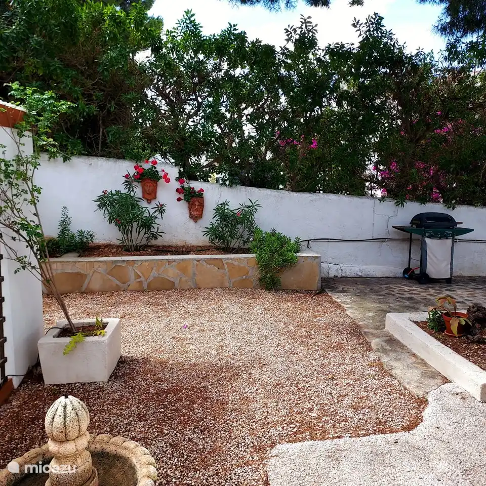 La fontaine de travail et les plantes autour de la maison, le barbecue est visible