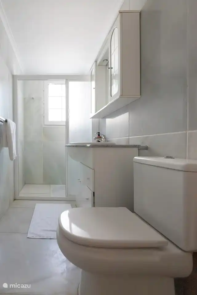 Badkamer op de begane grond, in totaal zijn er vier badkamers.