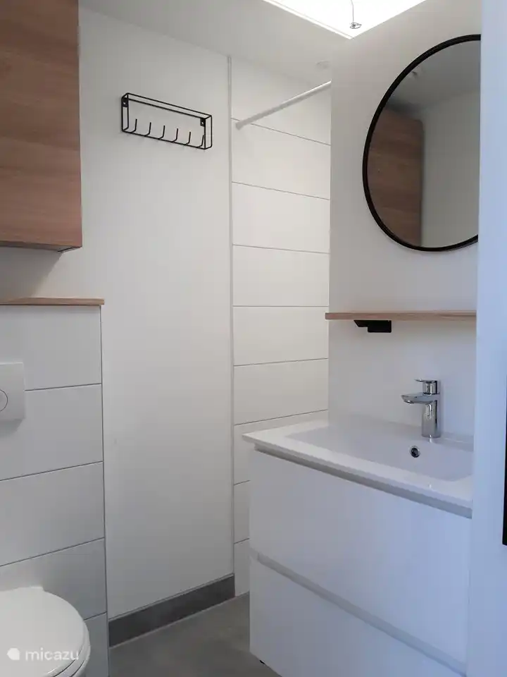 Salle de bain avec douche, lavabo et toilette